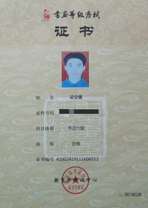 2019年上半年中國書畫等級考試成績揭曉 傳承與創新共舞